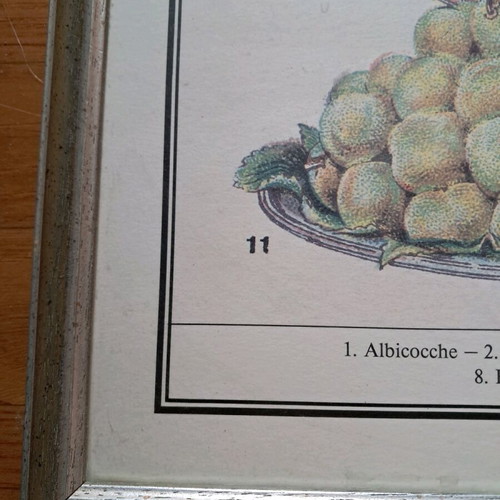 Picture in wooden frame with glass 49x73, like new, decorative fruit painting