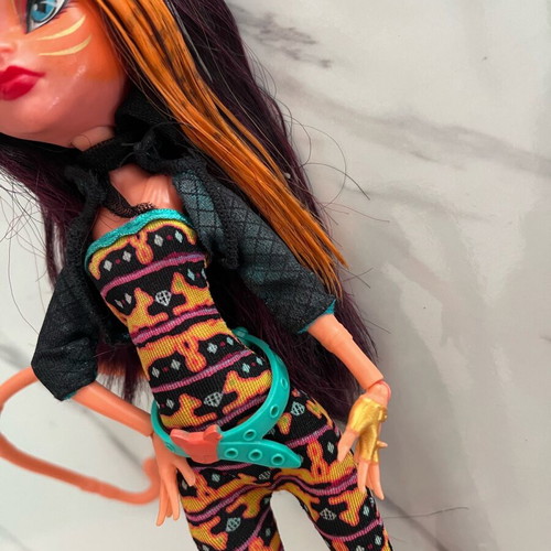 Cleolei Monster High Freaky Fusion doll used