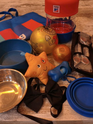 Dog set like new with bag, bowls, toys and grooming accessories