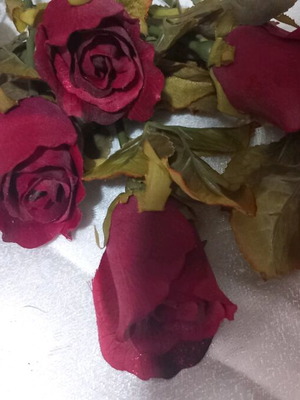 Artificial roses large size, pack of 6, new