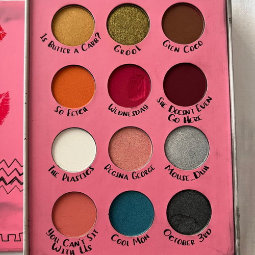 Burn Book Eyeshadow Palette brand new