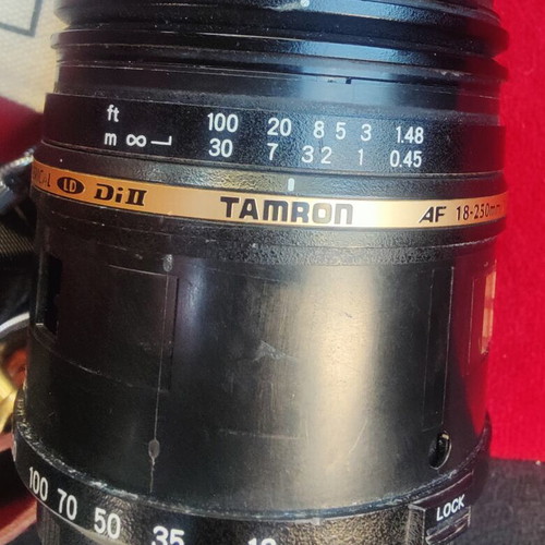 Tamron AF 18-250mm f/3.5-6.3 Di II LD Aspherical (IF) Macro lens used