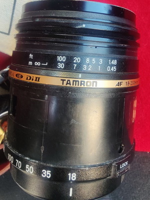 Tamron AF 18-250mm f/3.5-6.3 Di II LD Aspherical (IF) Macro lens used