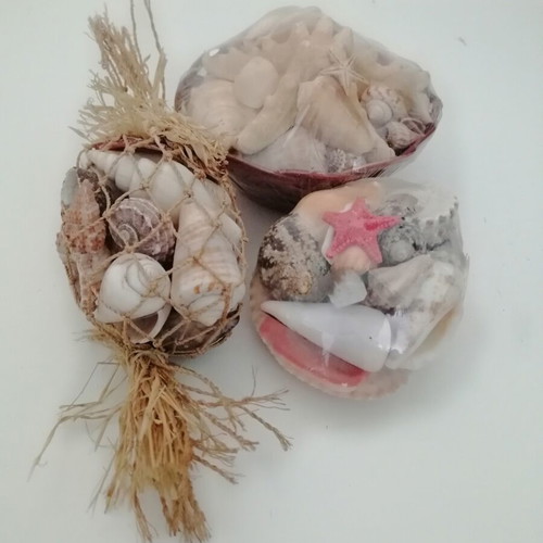 Decorative seashells set with bamboo basket and natural shells