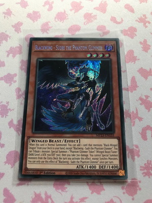 Yugioh card Blackwing-Sudri the Phantom Glimmer Secret Rare 1st edition new