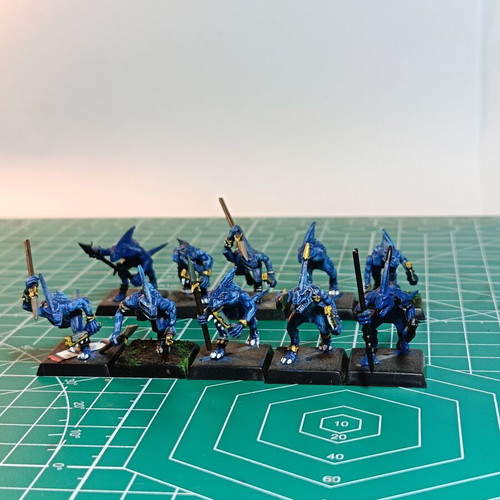 Seraphon Lizardmen Army like new with huge bits box for Warhammer