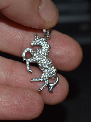 Silver unicorn pendant used