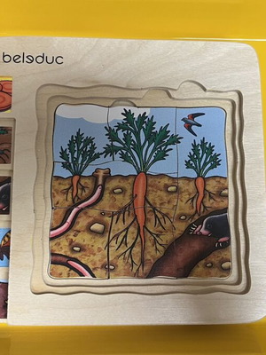 Montessori Wooden Puzzle The Life Cycle of the Carrot new