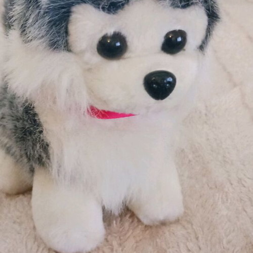 Plush toy new