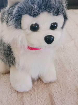 Plush toy new