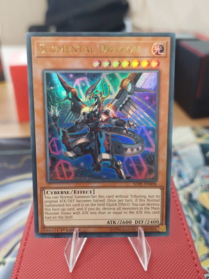 Segmental Dragon Yu-Gi-Oh! card