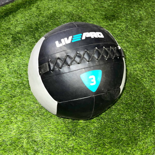 Live Pro Power Bag 10kg and 15kg and Live Pro Wall Ball 3kg like new