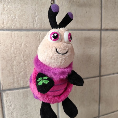 Keychain used