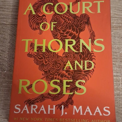 A Court of Thorns and Roses book like new by Sarah J Maas