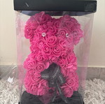 Love Bear like new