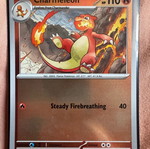 Pokémon card new