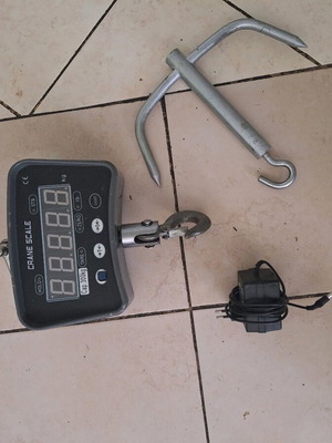 Electronic scale used