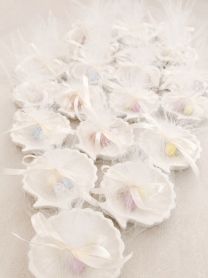 Gypsum shell bomboniere handmade, new