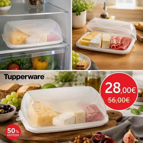 Tupperware Smart Large Cheese Container new