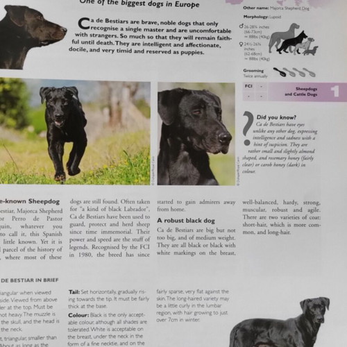 Royal Canin dog encyclopedia used, English