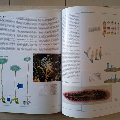 Encyclopedia Gnorizo to Chthes, to Simera, to Avrio and Epistimi like new, set of 31 volumes