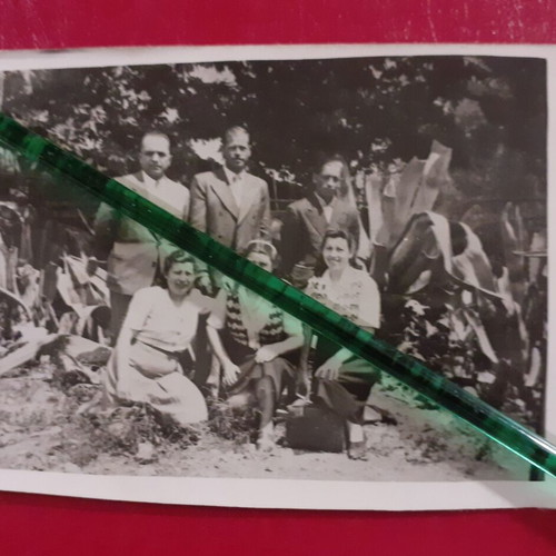 Pack of 4 old authentic excursion photos