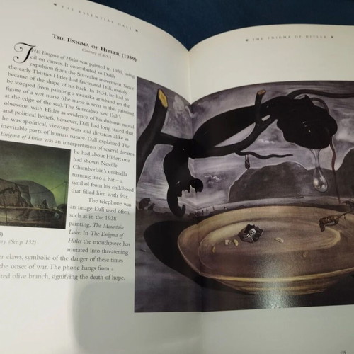 Essential Dali book by Kirsten Bradbury, English