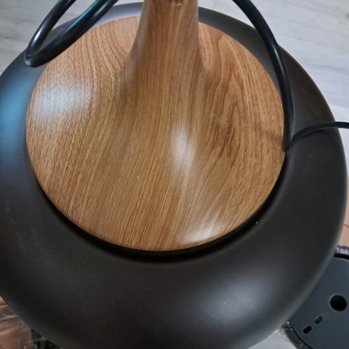 Eglo pendant light new
