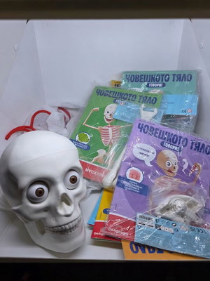 Human Body magazines, 14 issues, Bulgarian