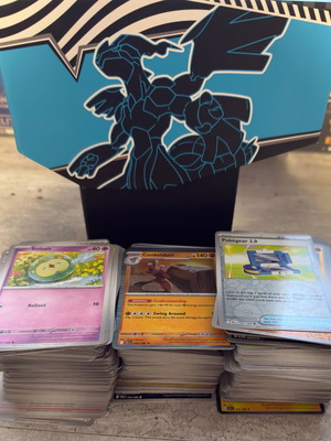 Pokemon bulk Black Bolt 490 common cards and 21 reverse καινούργιο