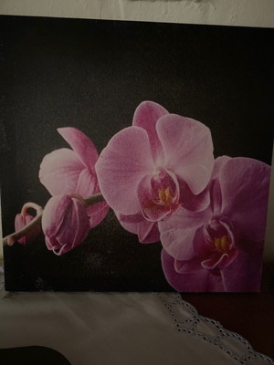 Small painting with orchid