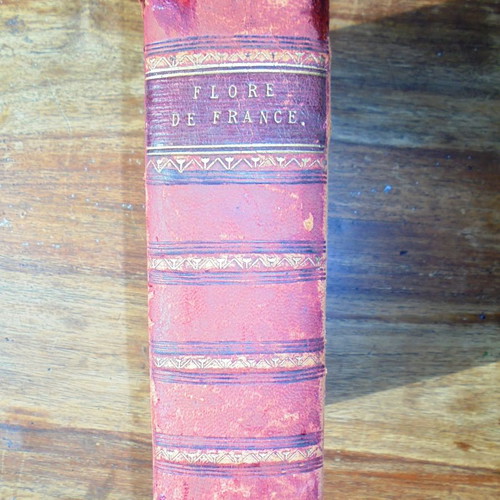 Flora of France Flore De La Région Méditerranéenne De La France 1904