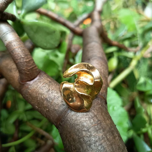 Ring impressive made of stainless steel used