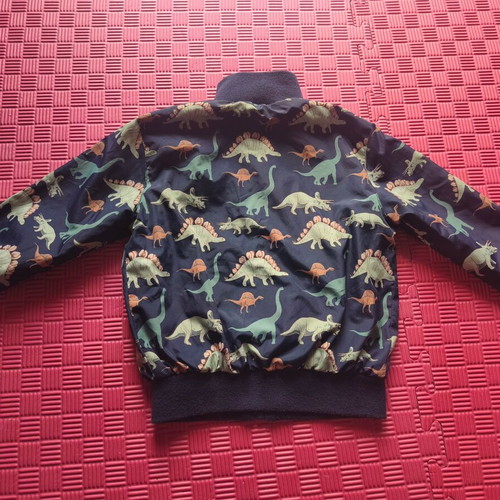 Funky Dinosaur Jacket like new, size 3 years