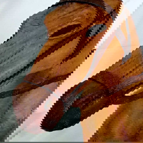 Vintage Handmade Leather Horse like new 54x44cm