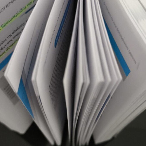 Nea Ellinika B Lykeiou textbook by Mitselos