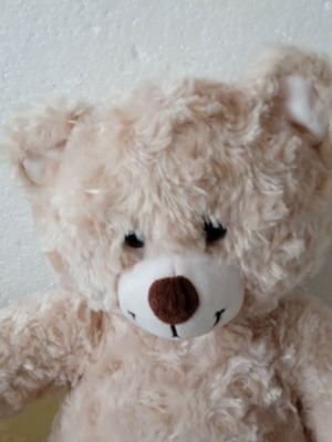 Build A Bear Workshop teddy bear used, 44 cm