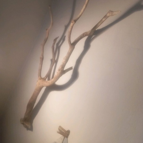 Deadwood decorative wood refurbished with satin varnish