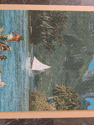 1000-piece puzzle