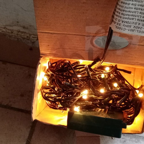 100 white Christmas lights