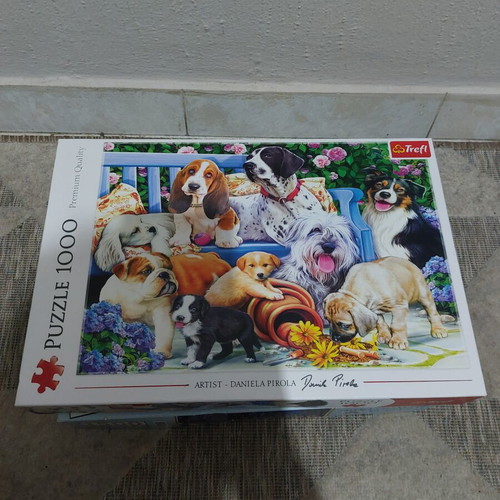 Puzzle 1000 pieces used