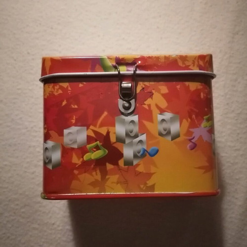 Metal piggy bank with special lock new