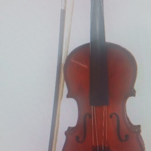 Violin 4/4 with bow, rosin and case, new, Eko EBV1410