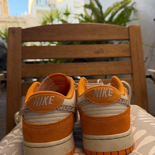 Nike Dunk Low AS Sneakers Safari Swoosh Chlorophy II worn 4-5 times