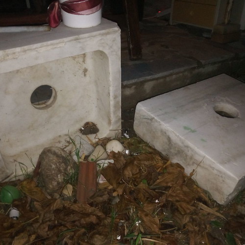 Marble sinks used in various sizes