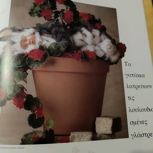 Book with photographic material by Anne Geddes new