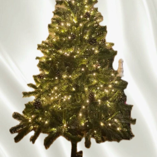Christmas tree new, lush and impressive