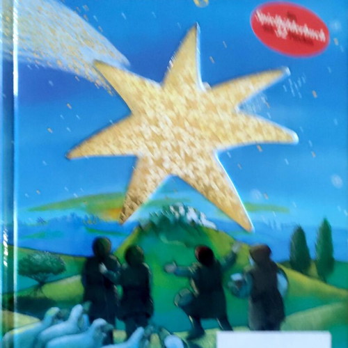 Die Weihnachtsgeschichte illustrated children's book like new, German
