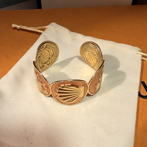 S steel thick summer bracelet with shell design, orange and gold tone