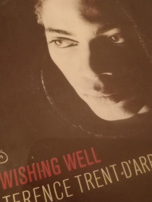 7-inch vinyl Terence Trent D'Arby Wishing Well like new